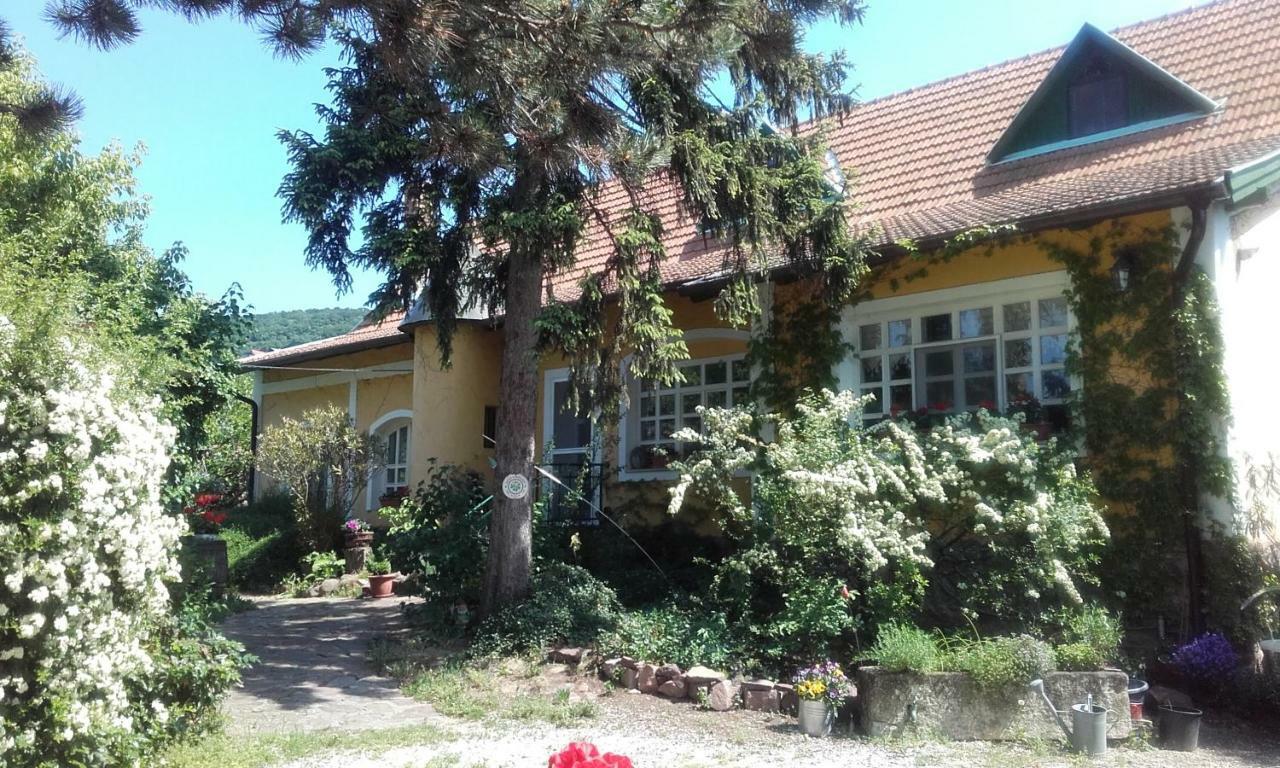 Villa-Magdi Vendeghaz Revfulop Exterior photo