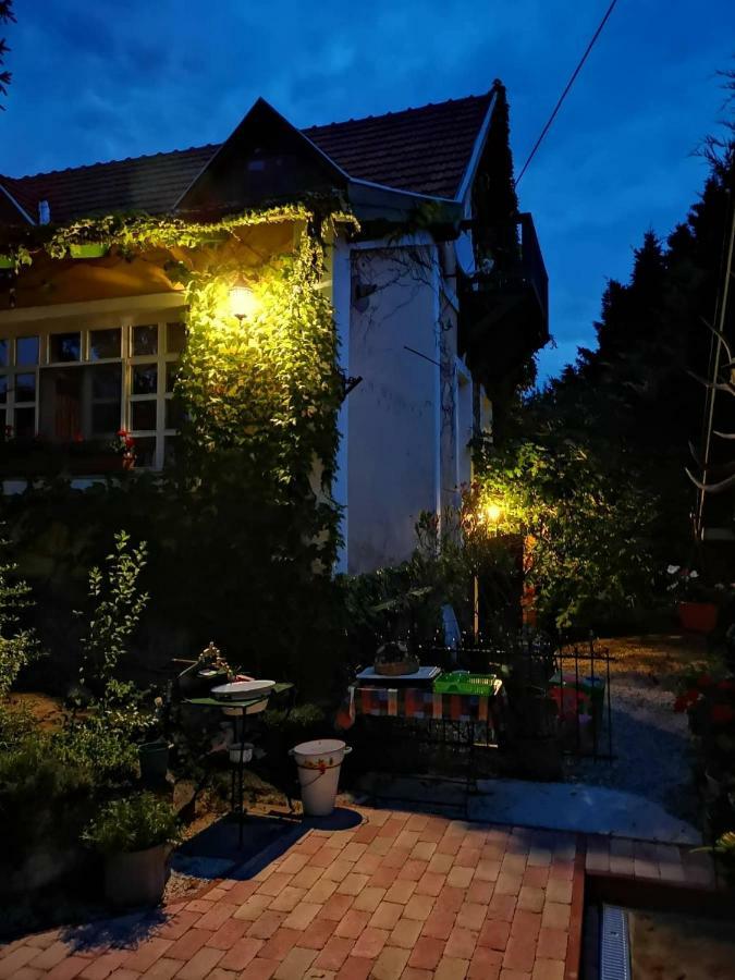 Villa-Magdi Vendeghaz Revfulop Exterior photo