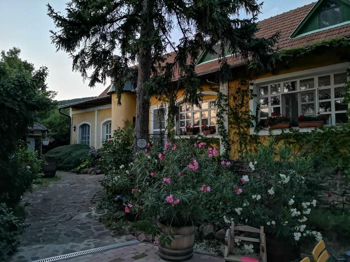 Villa-Magdi Vendeghaz Revfulop Exterior photo